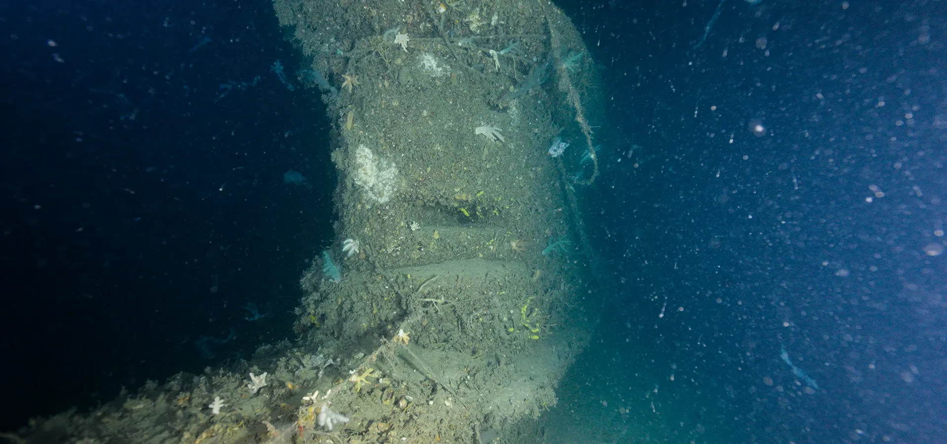 HMAS AE2 Denizaltısı