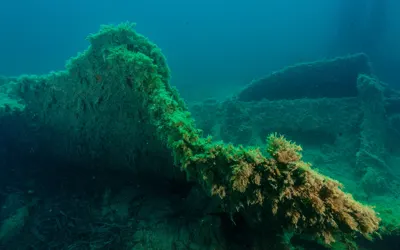 Massena and Saghalien