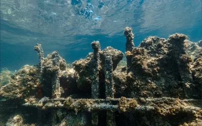 Maria Delle Vittorie and Vincenzo Florio