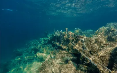 Maria Delle Vittorie and Vincenzo Florio