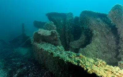 Massena and Saghalien